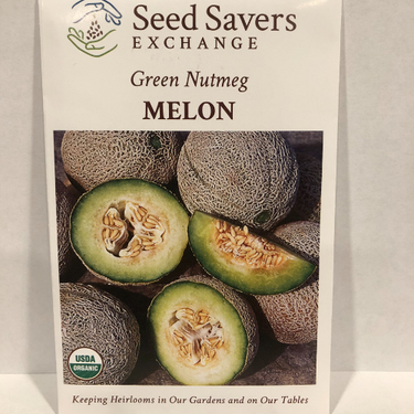 Green Nutmeg Melon, 1863 Heirloom, Organic